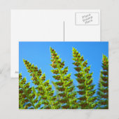 Benutzerdefinierte Postkarten Blue Sky Green Fores (Vorne/Hinten)