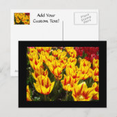 Benutzerdefinierte Postkarten Gelbe Rote Tulpen Bl (Vorne/Hinten)