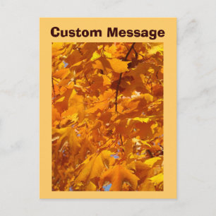 Benutzerdefinierte Postkarten Orange Autumn Leaave