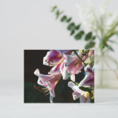 Benutzerdefinierte Postkarten Rosa Blume Garten (Stehend Vorderseite)