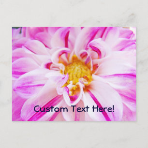 Benutzerdefinierte Postkarten Rosa Dahlie Blume Fl