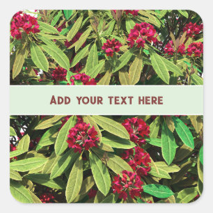 Benutzerdefinierte Rhododendron-Blüte Quadratischer Aufkleber
