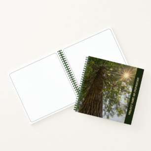 Benutzerdefinierte Sequoia mit Sunburst Foto Sketc Notizblock