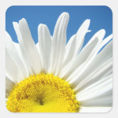 benutzerdefinierte Sticker für Daisy-Blume (Vorderseite)