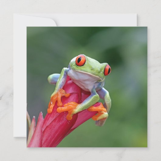 Benutzerdefinierte Text-Frosch-Karte (Vorderseite)