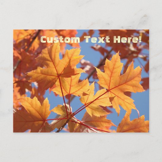 Benutzerdefinierte Textpostkarten fallen Tree-Blät Postkarte (Vorderseite)