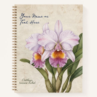Benutzerdefinierte Vintage-Cattleya-Trianae-Orchid Notizblock