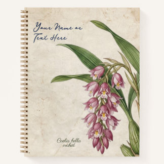 Benutzerdefinierte Vintage Coelia Bella Orchidee B Notizblock