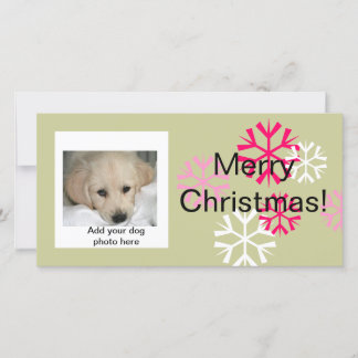 Benutzerdefinierte Weihnachtsfotokarten für Hunde Feiertagskarte