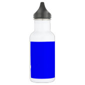 Benutzerdefinierter blaufarbiger Designer Edelstahlflasche (Links)