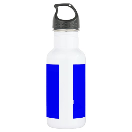 Benutzerdefinierter blaufarbiger Designer Edelstahlflasche (Rückseite)
