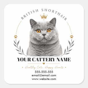 Benutzerdefinierter British Shorthair Cattery Logo Quadratischer Aufkleber