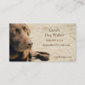 Benutzerdefinierter Dog-Walker, Haustier-Sitting-B Visitenkarte (Vorderseite)