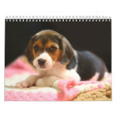 Benutzerdefinierter estnischer Hundekalender Kalender (Titelbild)