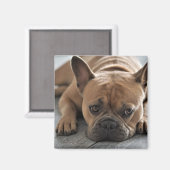 Benutzerdefinierter Foto Haustier Hund Magnet (Vorderseite/Rückseite)