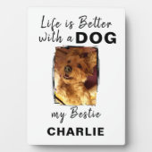 Benutzerdefinierter Foto-Hundehund-Name weiß Fotoplatte (Vorderseite)