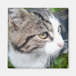 Benutzerdefinierter Foto-Magnet für Kühlschrank | Magnet