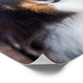 Benutzerdefinierter Foto- und Liebe mit Pasten und Poster (Ecke)