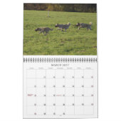 Benutzerdefinierter gedruckter Kalender (Mär 2027)