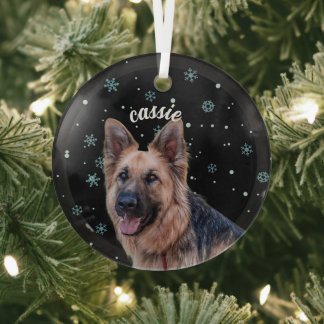 Benutzerdefinierter Haustier-Foto-Schmuck - Person Ornament Aus Glas