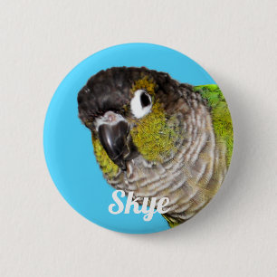 Benutzerdefinierter Haustier-Vogel-Foto-Name Button
