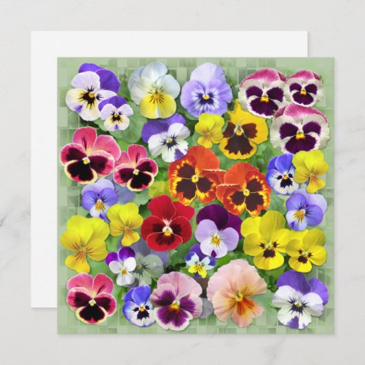 Benutzerdefinierter hübscher Pansy Collage-Text (Vorne/Hinten)