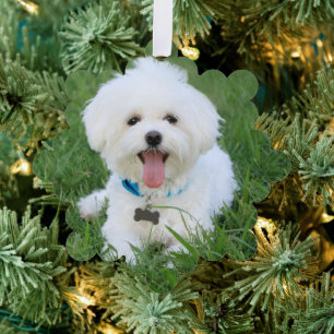 Benutzerdefinierter Hund-Foto-Schmuck Rot Ornament Karte