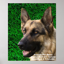 Benutzerdefinierter Hunde-Fotoplakat - Personalisi