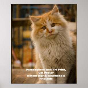Benutzerdefinierter Katzenposter - Download Digita Poster