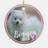 Benutzerdefinierter Name des Fotos Rainbow Keramik Ornament (Hinten)