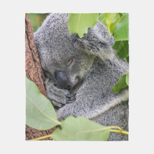 Benutzerdefinierter Niedlicher Koala-Wohngestaltun Fleecedecke (Vorderseite)