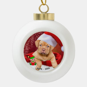 Benutzerdefinierter Pitbull-Welpen-Hund-Foto mit s Keramik Kugel-Ornament