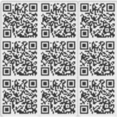Benutzerdefinierter QR-Code für die benutzerdefini Aufkleber (Vorderseite)