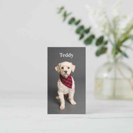 Benutzerdefinierter QR-Code für Foto Pet Puppy-Hun Visitenkarte (Stehend Vorderseite)