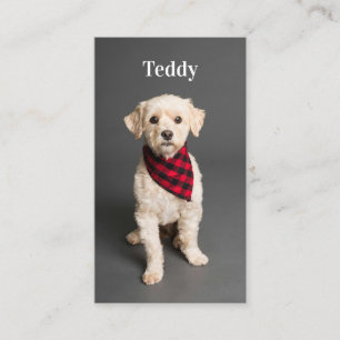 Benutzerdefinierter QR-Code für Foto Pet Puppy-Hun Visitenkarte