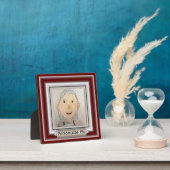 Benutzerdefinierter Rahmen zum Hinzufügen von Kuns (InSitu)