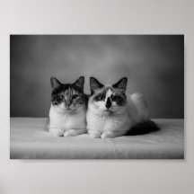 Benutzerdefinierter Schwarzweiß-Fotoposter im 4K-F