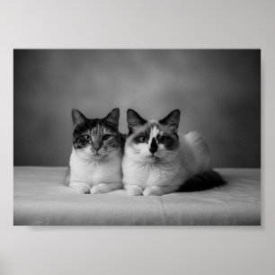 Benutzerdefinierter Schwarzweiß-Fotoposter im 4K-F Poster