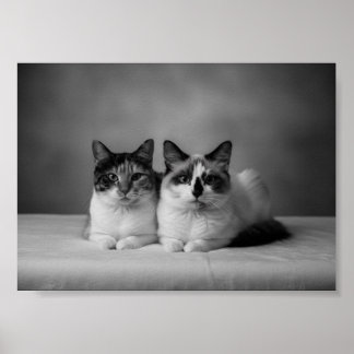 Benutzerdefinierter Schwarzweiß-Fotoposter im 4K-F Poster