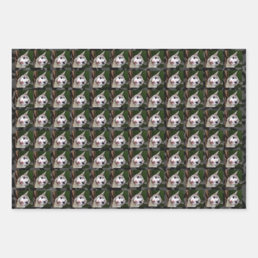 Benutzerdefinierter Single Schwarzer Panther Geschenkpapier Set (Vorderseite 2)