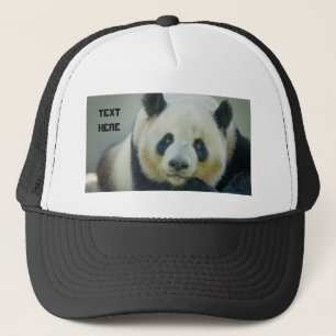 Benutzerdefinierter süßer Panda-Blick auf eigenen Truckerkappe