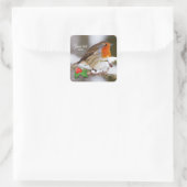 Benutzerdefinierter Text Niedlich Robin im Schnee Quadratischer Aufkleber (Tasche)