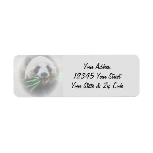 Benutzerdefinierter Text Panda (Vorne)
