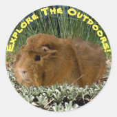 Benutzerdefinierter Text zur Erforschung von Guine Runder Aufkleber (Vorderseite)