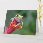 Benutzerdefinierter Textfrosch Karte (Gelbe Blume)