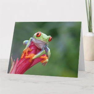 Benutzerdefinierter Textfrosch Karte