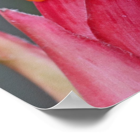 Benutzerdefinierter Textfrosch Poster (Ecke)