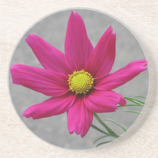 Benutzerdefinierter Untersetzer der rosa Blume (Vorne)