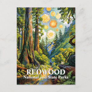 Benutzerdefinierter Van Gogh Redwood National Park Postkarte