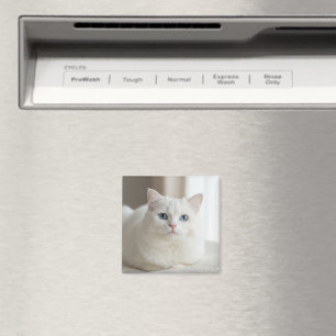 Benutzerdefinierter weißer Katzenfoto-Magnet für d Magnet